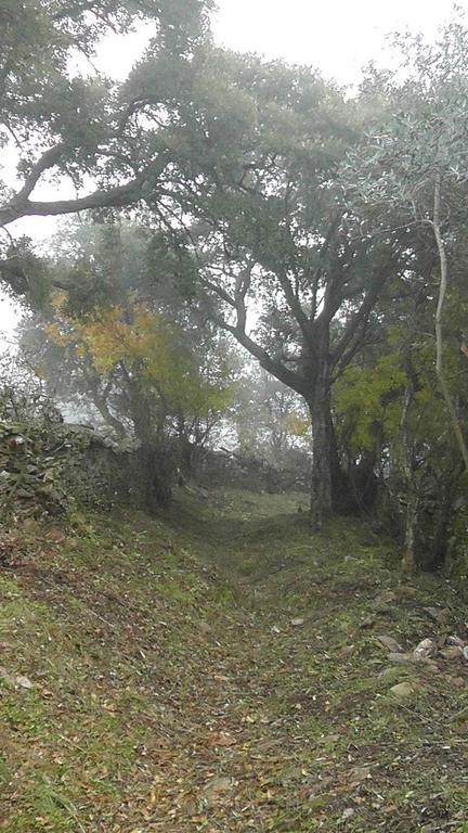 Casas de Miravete Los Montes المظهر الخارجي الصورة